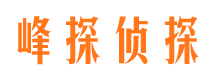 彬县捉小三公司